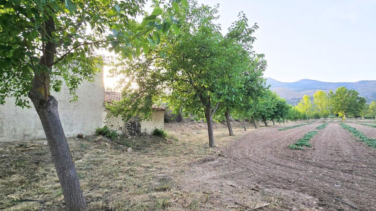 Land for sale in Onil, Alicante photo 4