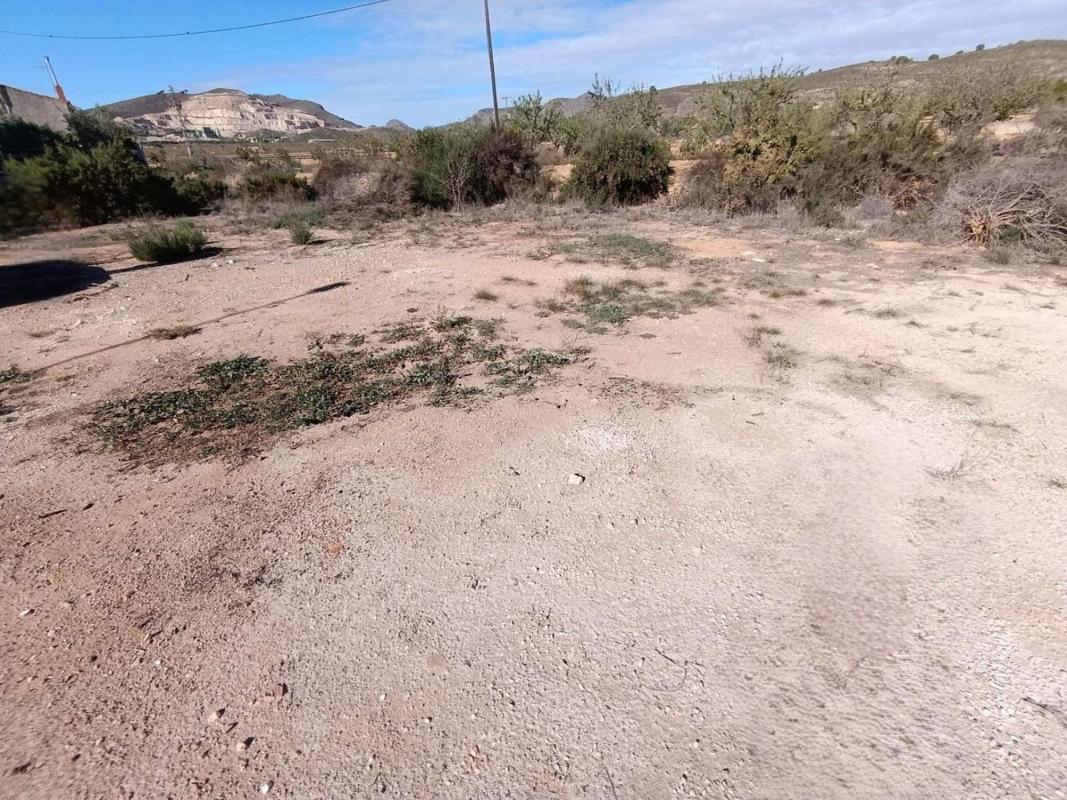 Land for sale in Hondón de las Nieves, Alicante photo 5