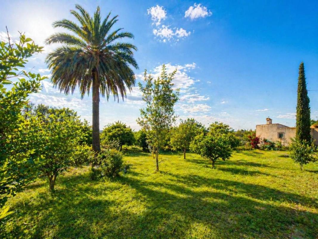 Terreno en venta en Catral, Alicante photo 2