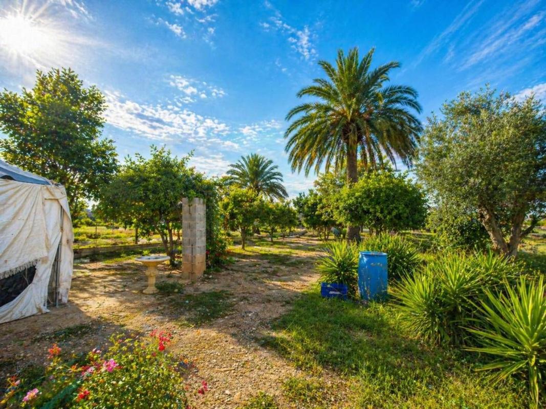 Terreno en venta en Catral, Alicante photo 3