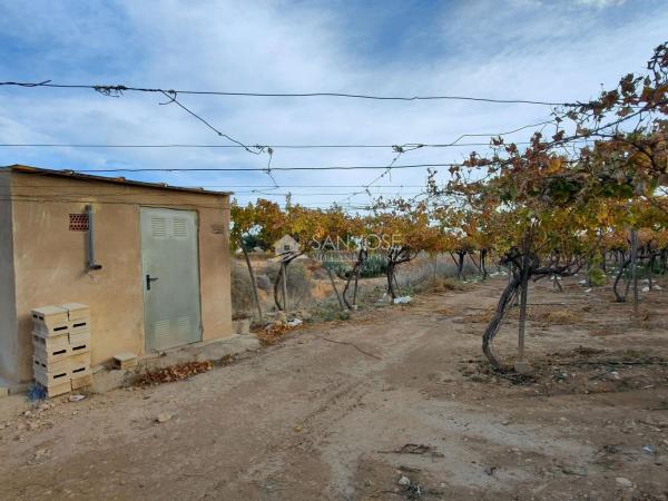 Terreno en Pedanías Oeste, Aspe photo 1