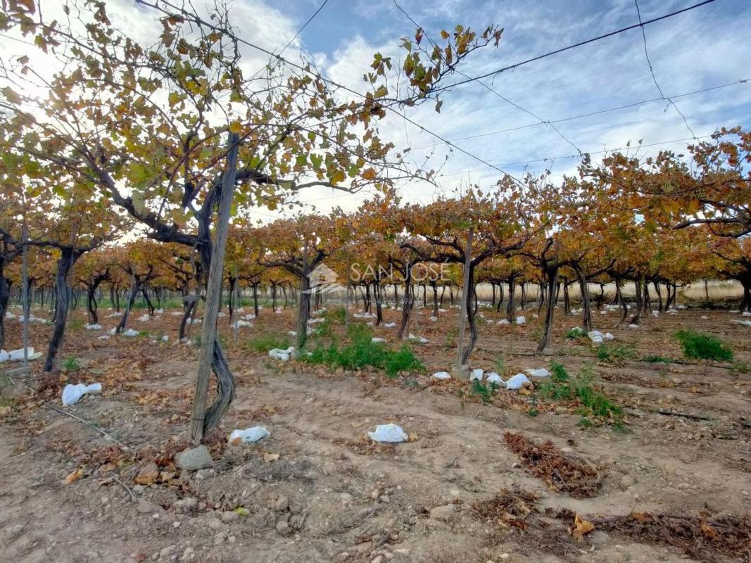 Terreno en venta en Aspe, Alicante photo 4