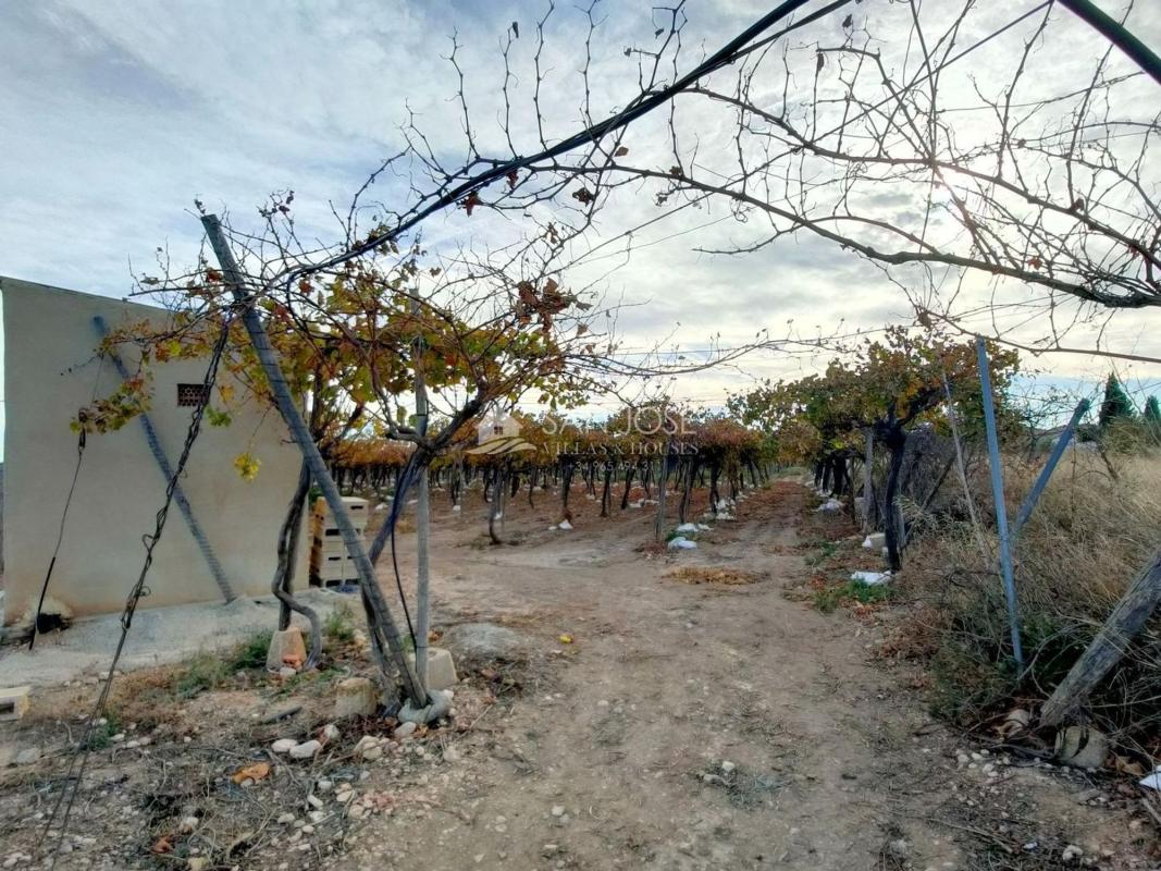 Terreno en venta en Aspe, Alicante photo 5