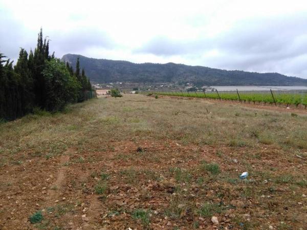 Terreno en San Juan, Aspe photo 1