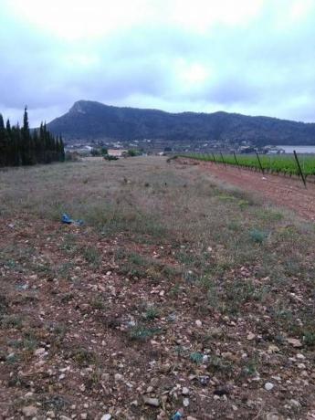 Terreno en San Juan, Aspe thumbnail 2