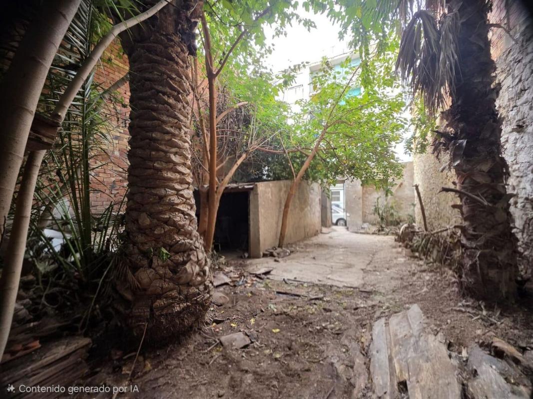 Land for sale in Elda, Alicante photo 5