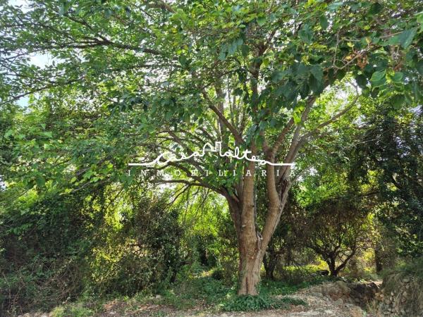 Terreno en Partida Foia Almarch, 9, La Nucia Pueblo, La Nucia thumbnail 2