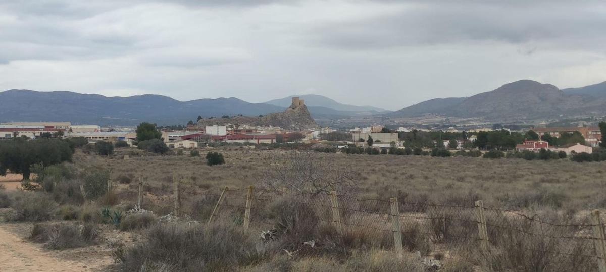 Terreno en venta en Sax, Alicante photo 2
