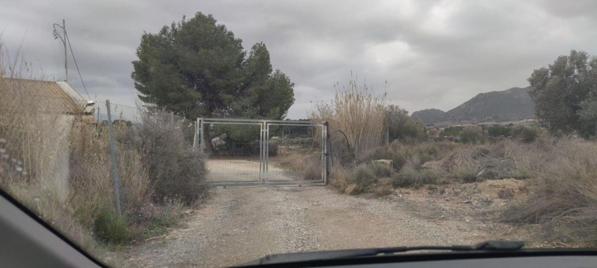 Terreno en venta en Sax, Alicante photo 3