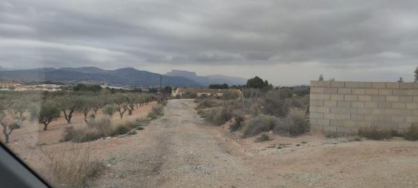 Terreno en Sax photo 4