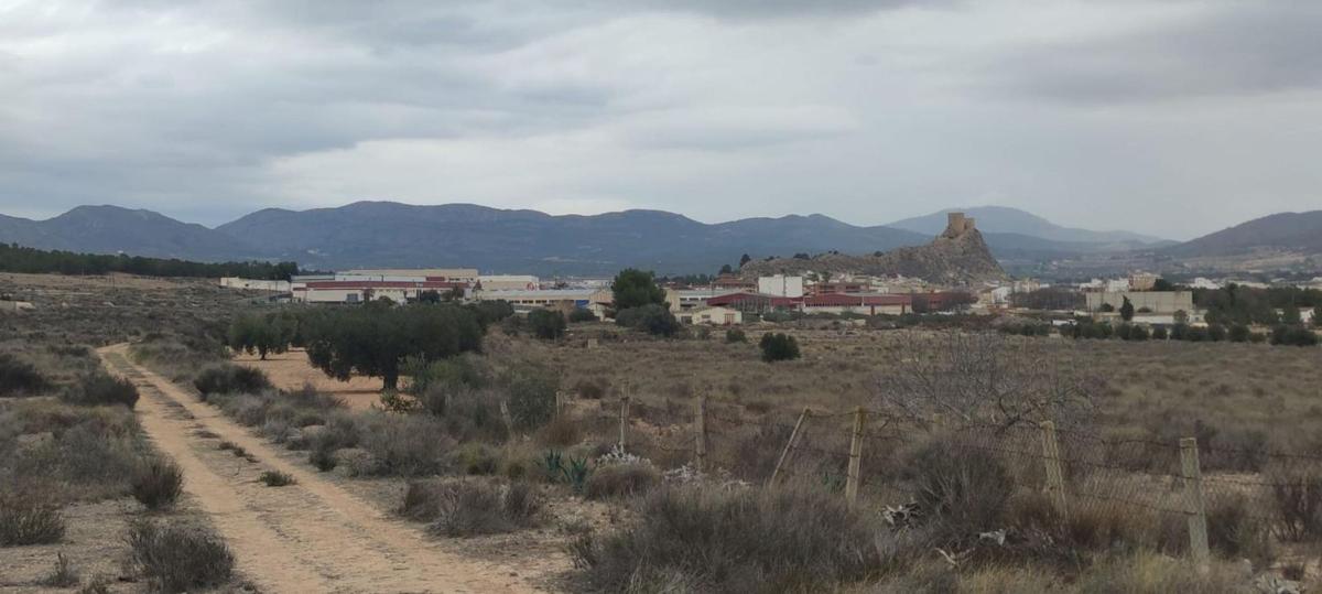 Terreno en venta en Sax, Alicante photo 5