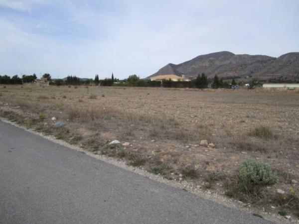 Terreno en Hondón de las Nieves photo 4