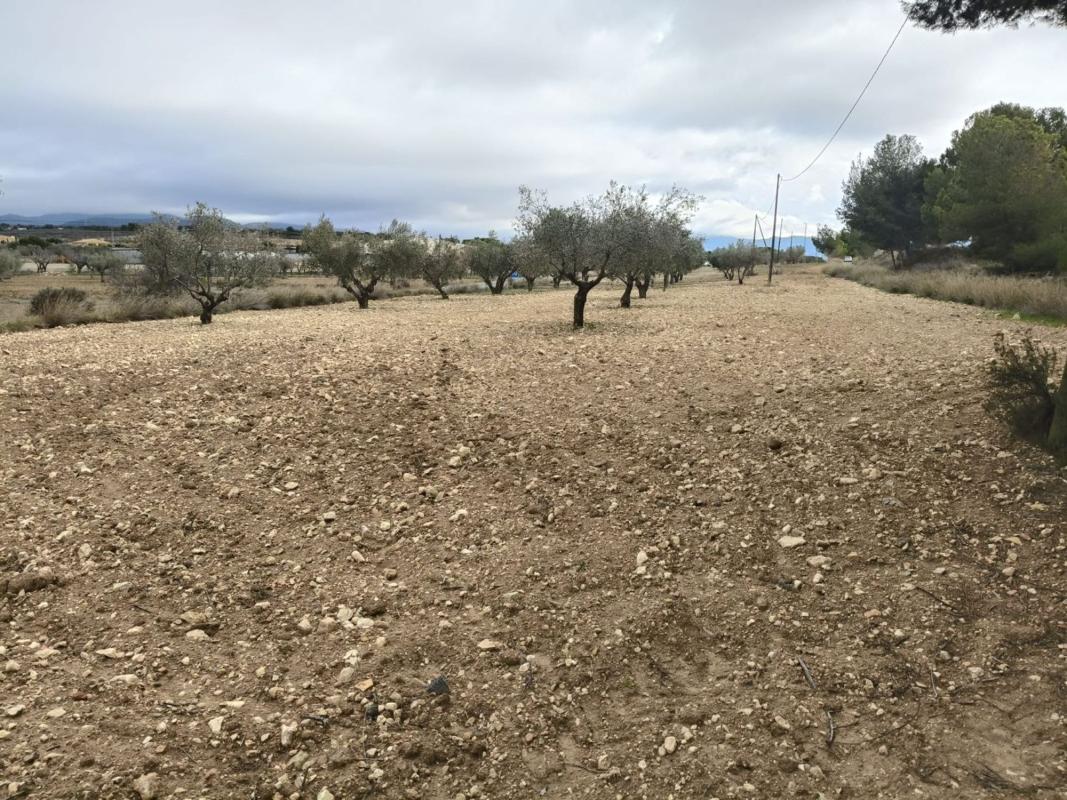 Działka na sprzedaż w Castalla, Alicante photo 5