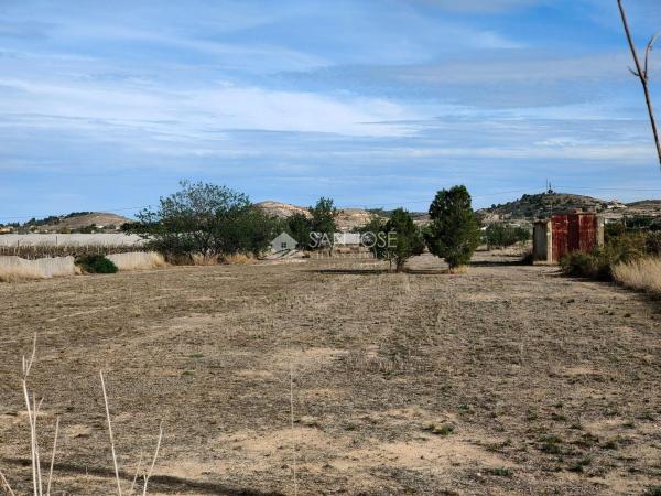 Terreno en Pedanías Oeste, Aspe photo 4