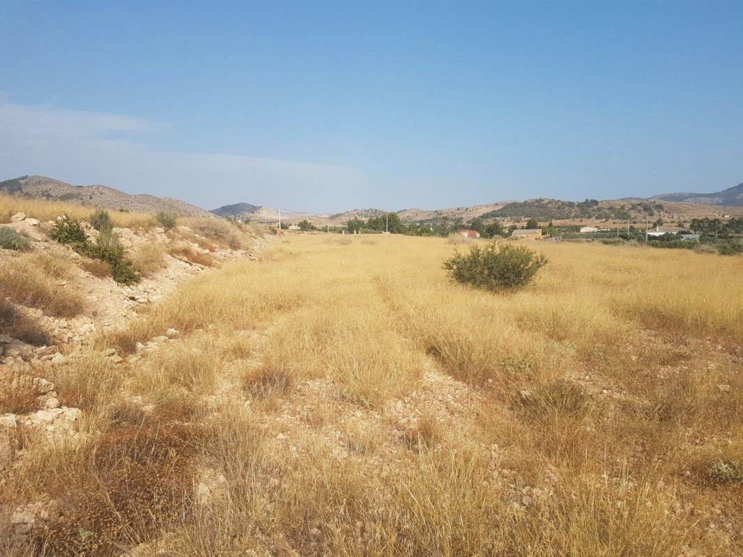 Terreno en venta en Hondón de las Nieves, Alicante photo 1