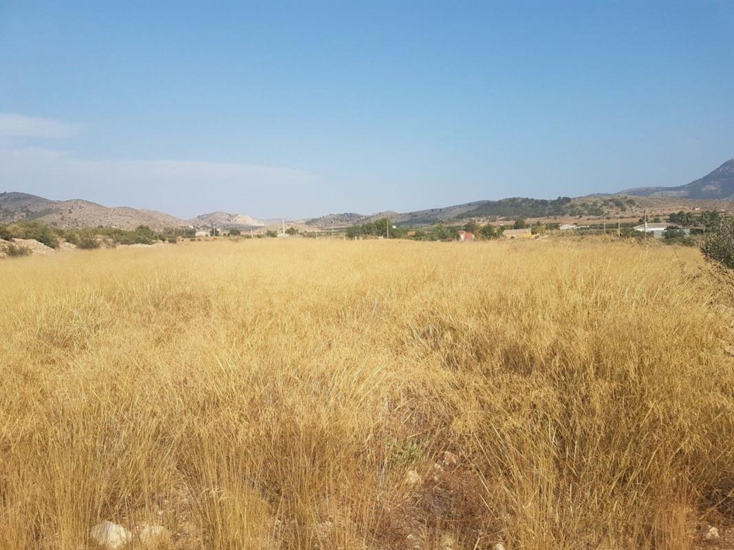 Terreno en venta en Hondón de las Nieves, Alicante photo 2