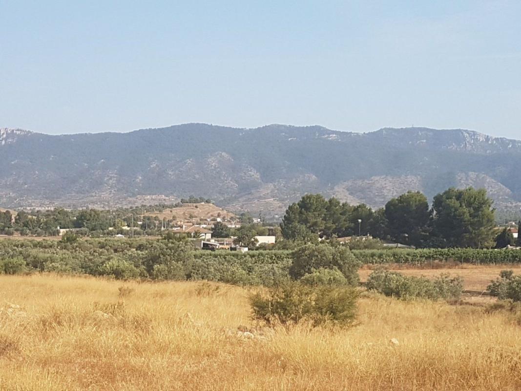 Terreno en venta en Hondón de las Nieves, Alicante photo 3