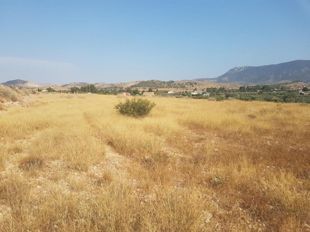 Terreno en venta en Hondón de las Nieves, Alicante photo 5
