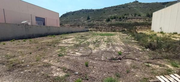 Terreno en Pedanías Este, Aspe photo 1