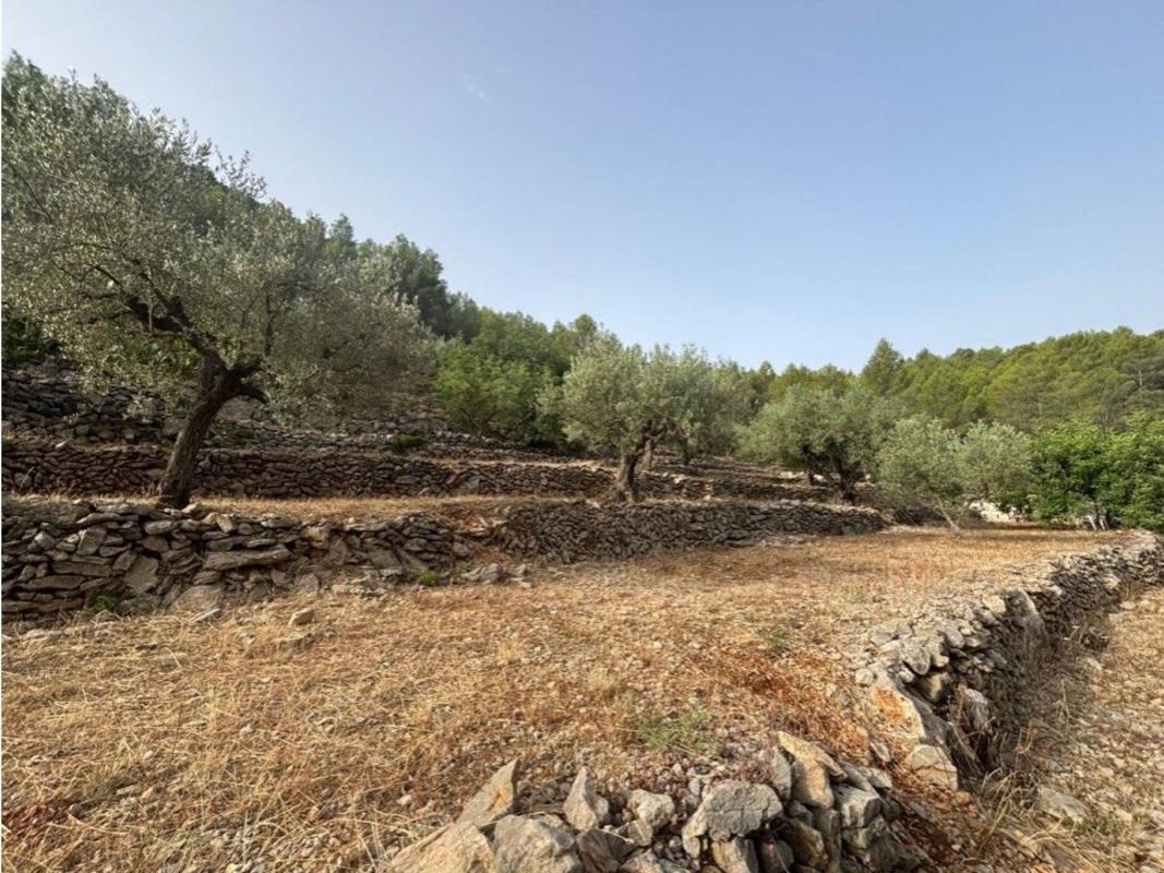 Terreno en venta en Parcent, Alicante photo 5