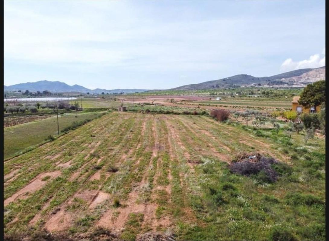 Land for sale in Hondón de las Nieves, Alicante photo 4