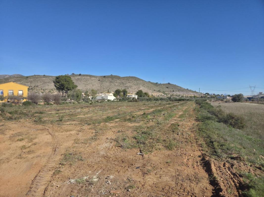 Land for sale in Hondón de las Nieves, Alicante photo 5