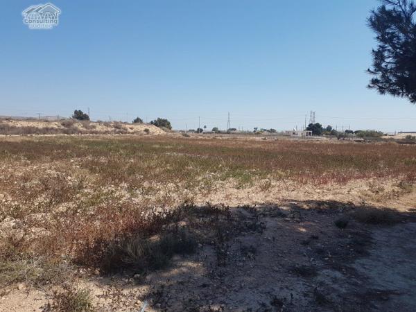 Terreno en Jubalcoi-Saladas, Elche / Elx photo 4
