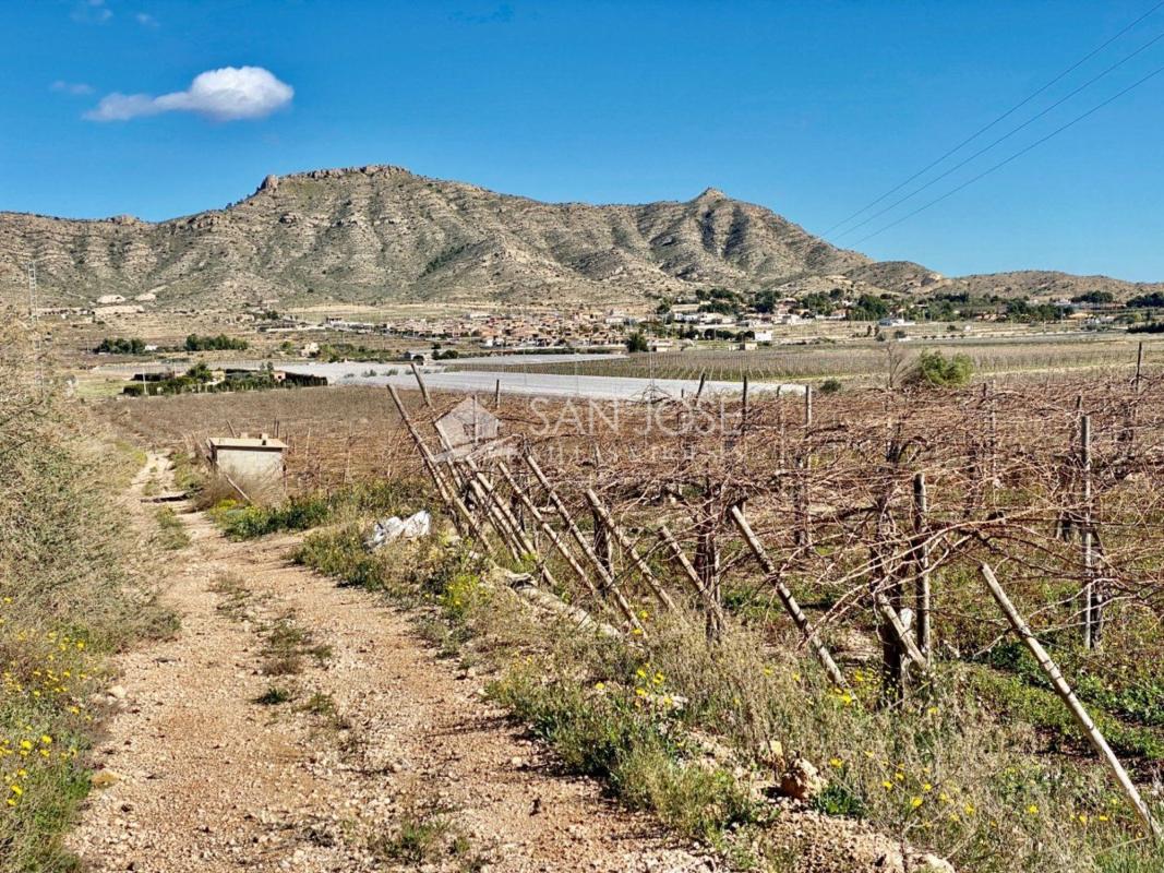 Land for sale in Aspe, Alicante photo 1