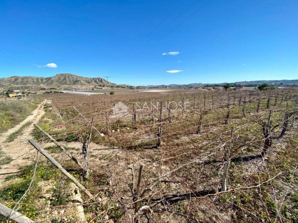 Terreno en San Juan, Aspe thumbnail 3