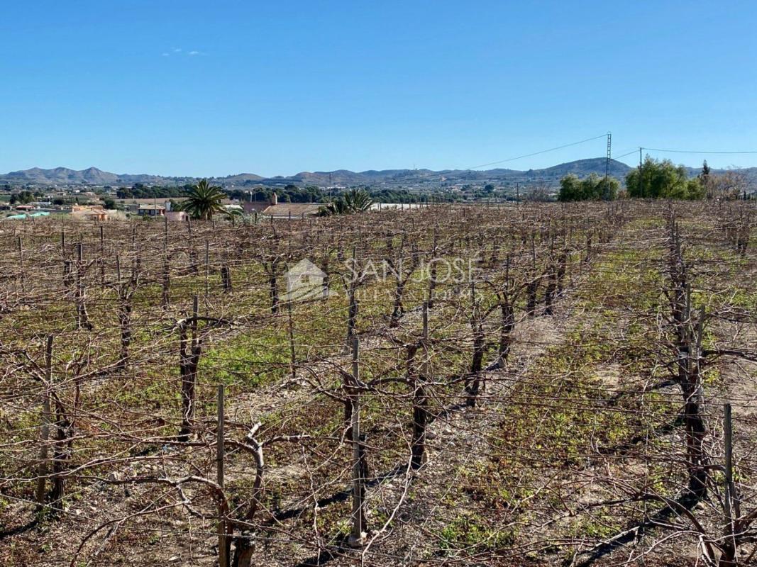 Land for sale in Aspe, Alicante photo 5