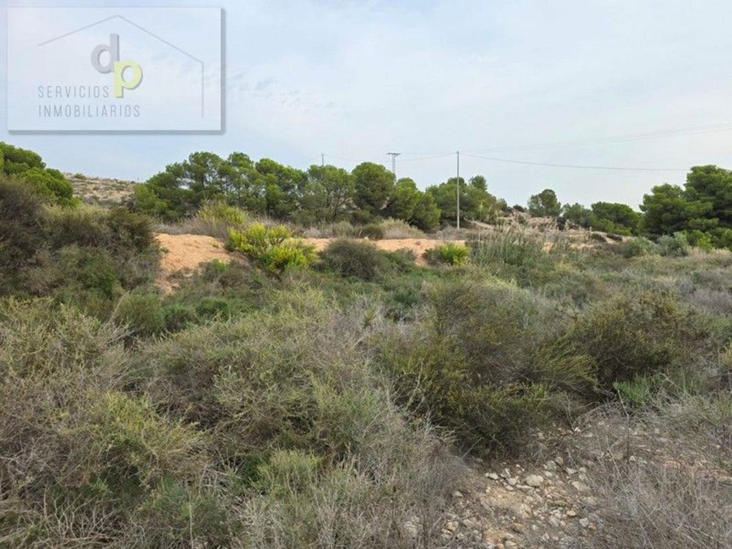 Terreno en venta en Elche / Elx, Alicante photo 3