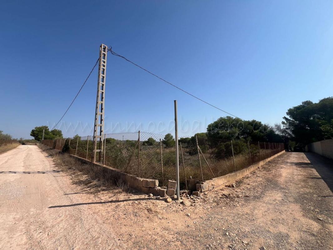 Terreno en venta en Pilar de la Horadada, Alicante photo 1