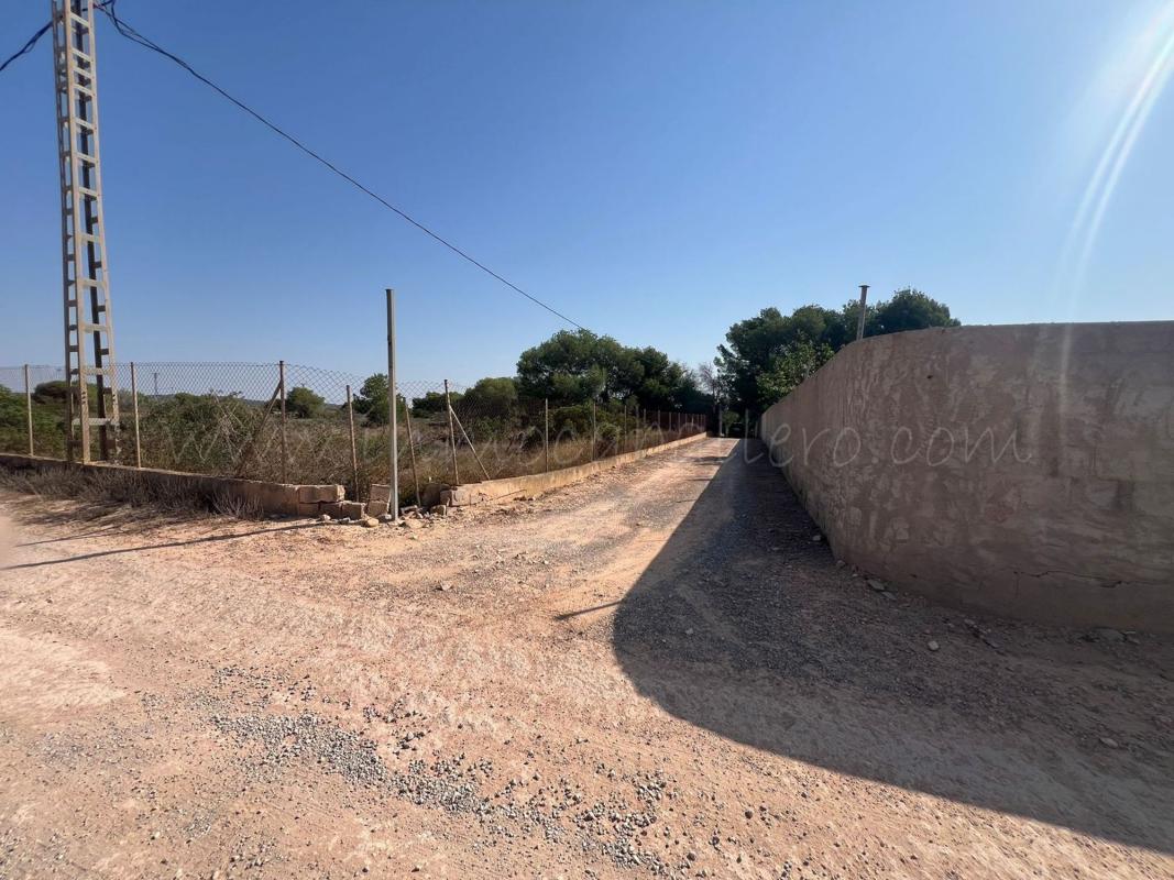 Terreno en venta en Pilar de la Horadada, Alicante photo 2