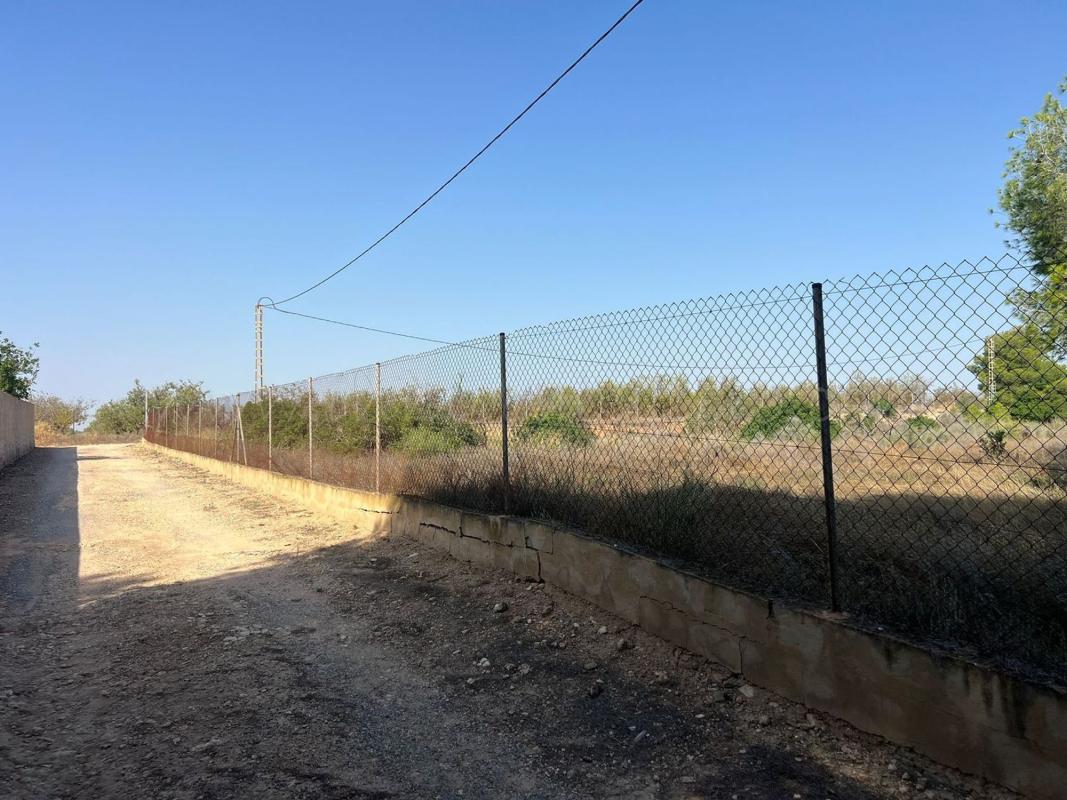 Terreno en venta en Pilar de la Horadada, Alicante photo 3