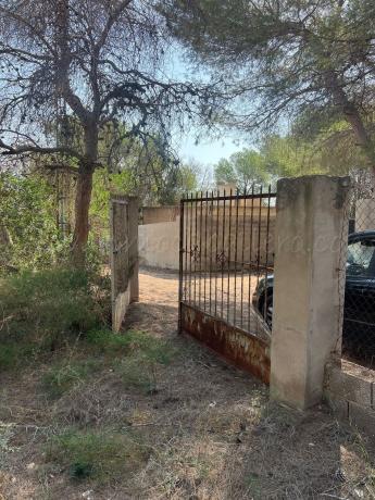 Terreno en Diseminado Poligono 16, Pinar de Campoverde, Pilar de la Horadada photo 4