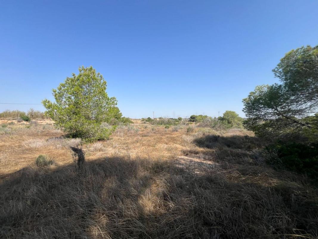 Terreno en venta en Pilar de la Horadada, Alicante photo 5