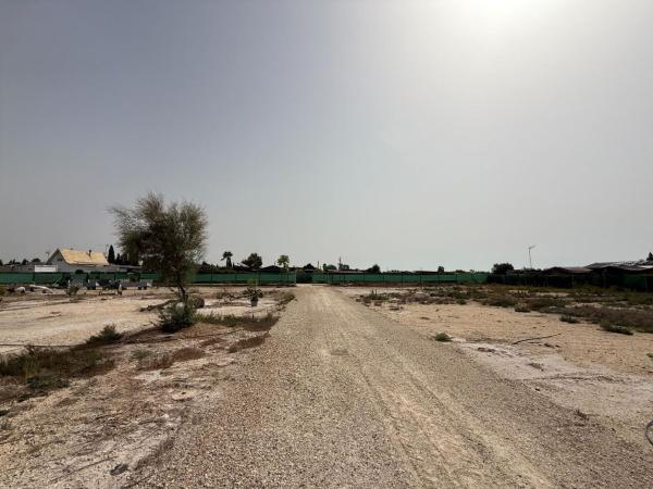 Terreno en La Hoya-Daimes-El Derramador, Elche / Elx thumbnail 2