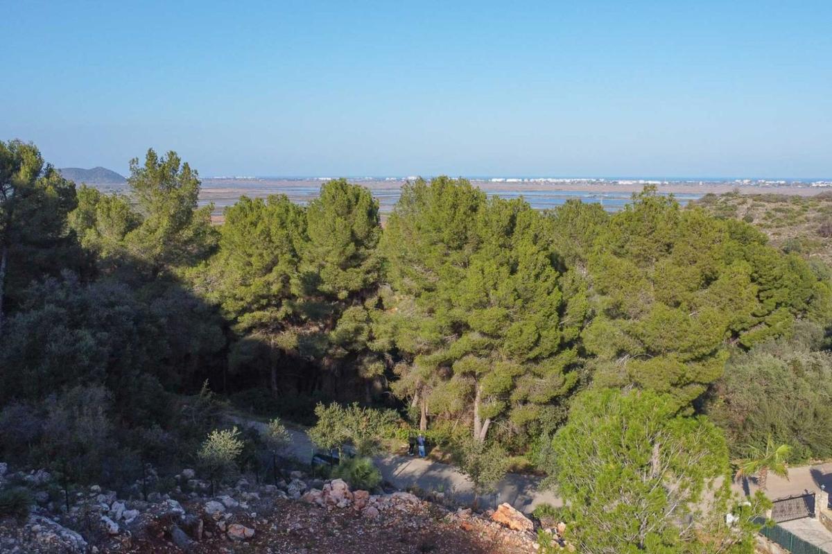 Terreno en venta en Pego, Alicante photo 2