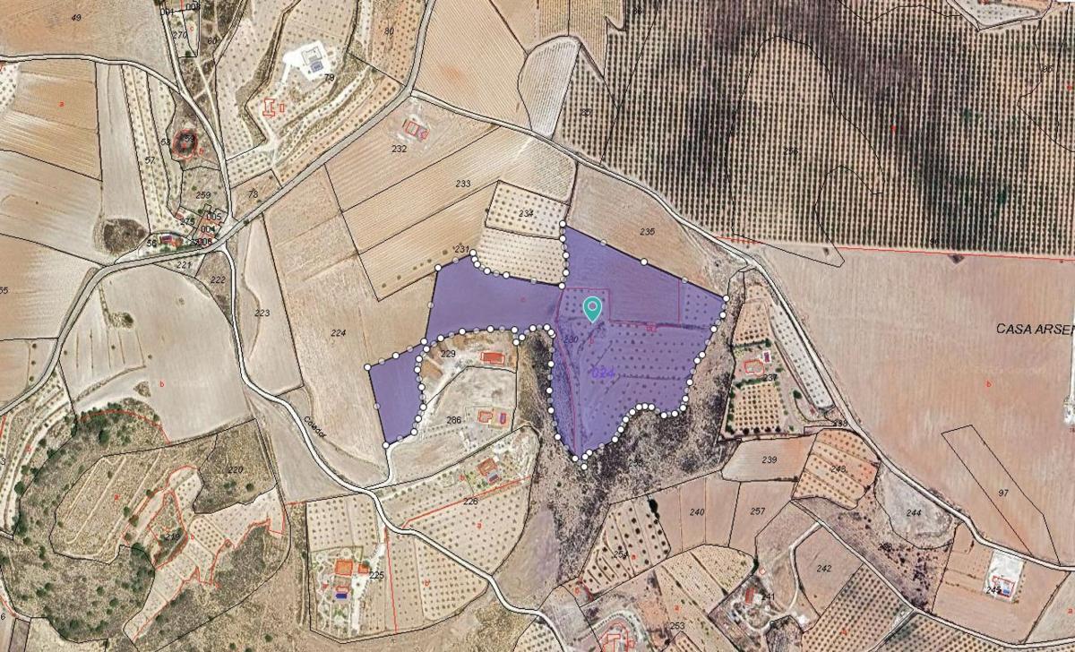 Terreno en venta en Pinoso, Alicante photo 2
