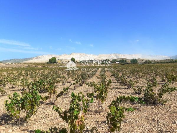 Terreno en Algueña photo 1