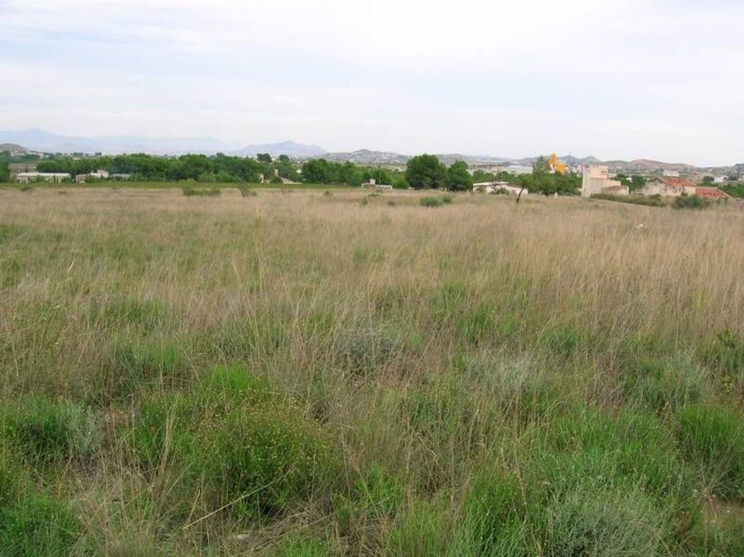 Участок земли на продажу в Аспе, Аликанте photo 1