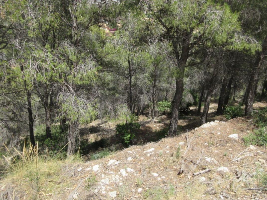 Terreno en venta en Altea, Alicante photo 4