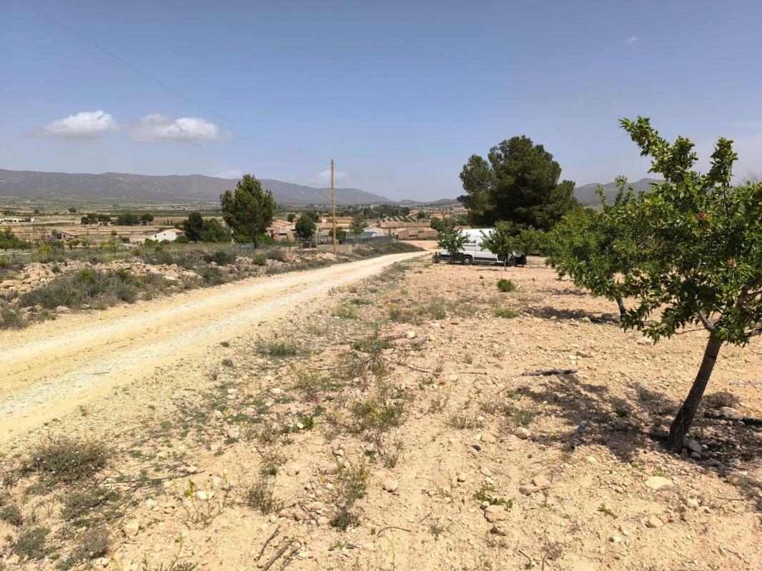 Terreno en venta en Pinoso, Alicante photo 2