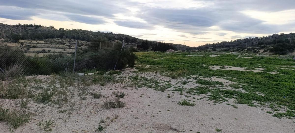 Terreno en venta en Aspe, Alicante photo 1