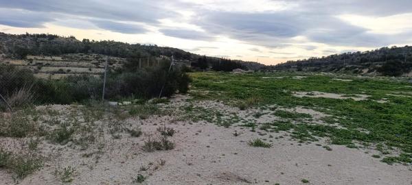 Terreno en Pedanías Oeste, Aspe photo 1