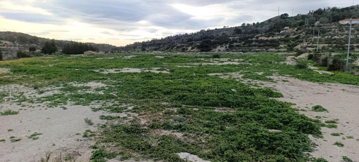 Terreno en venta en Aspe, Alicante photo 3