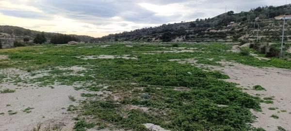 Terreno en Pedanías Oeste, Aspe thumbnail 3