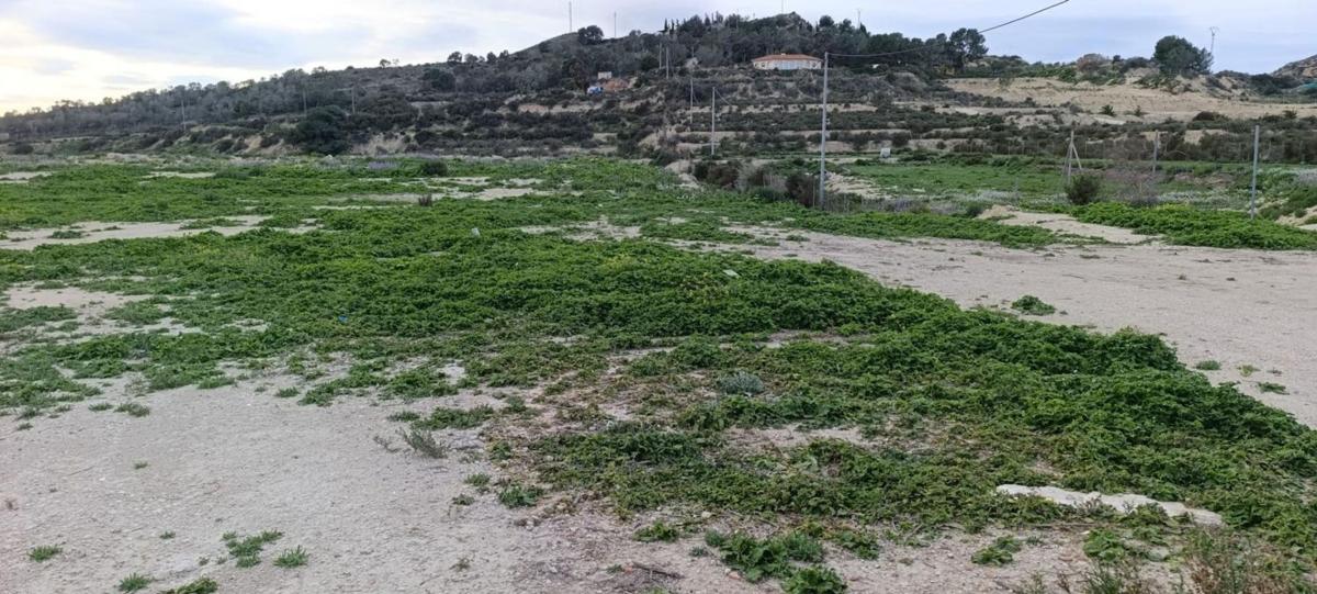 Terreno en venta en Aspe, Alicante photo 4