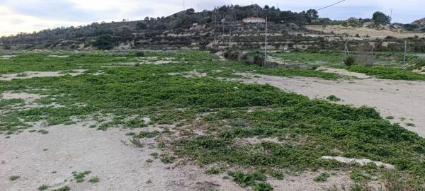 Terreno en Pedanías Oeste, Aspe photo 4