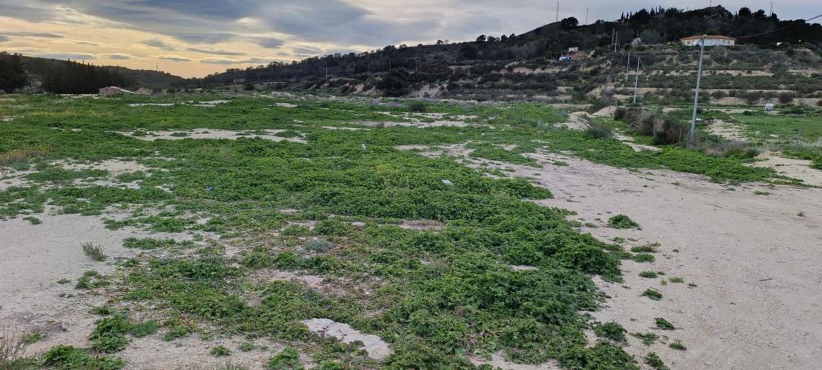 Terreno en venta en Aspe, Alicante photo 5